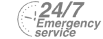 24/7 Emergency Service Pest Control in Lambeth, SE11. Call Now! 020 8166 9746