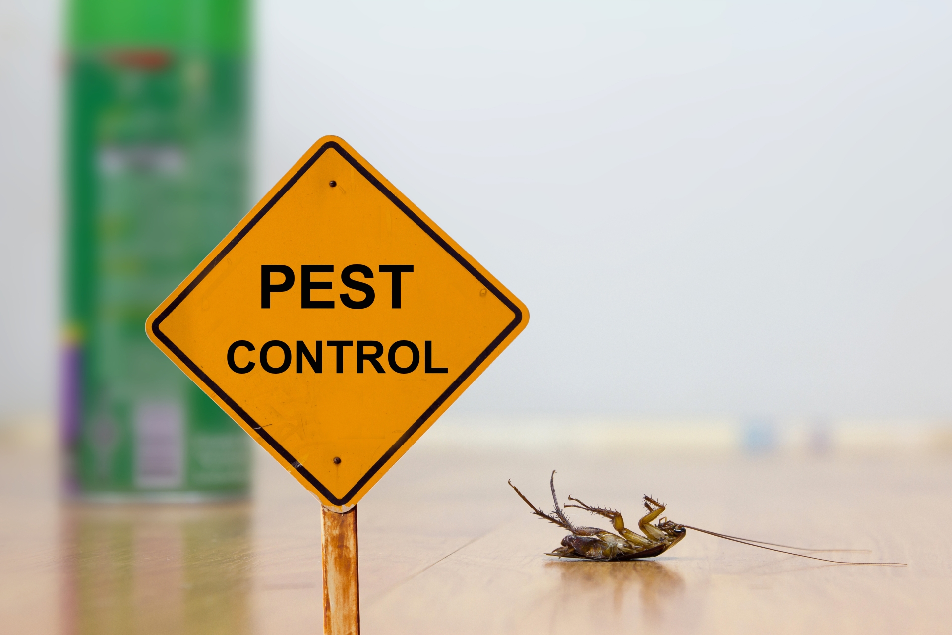 24 Hour Pest Control, Pest Control in Lambeth, SE11. Call Now 020 8166 9746